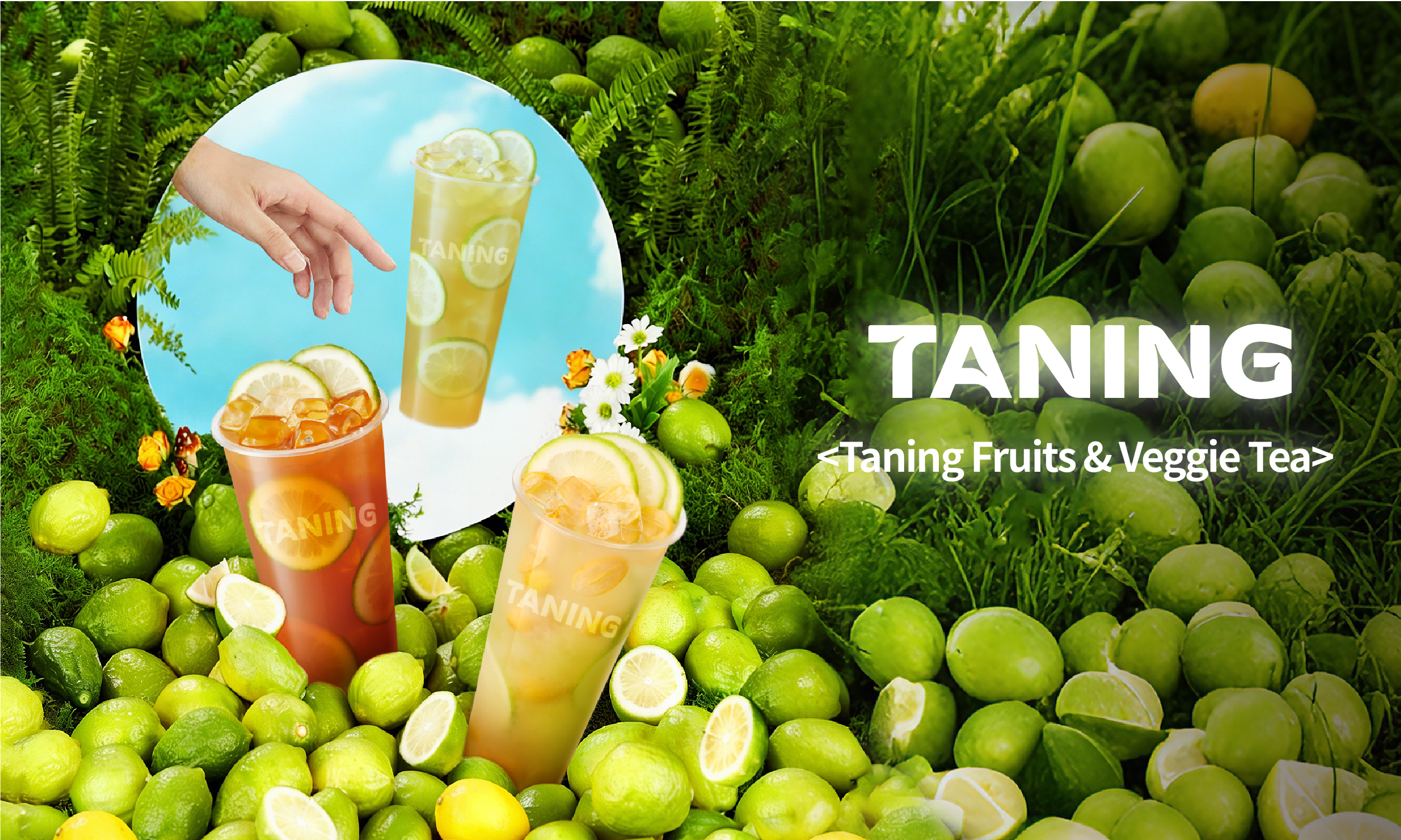 TANING Fruits & Veggie Tea header with green limes, three iced tea cups, and brand logo on lush green backdrop.